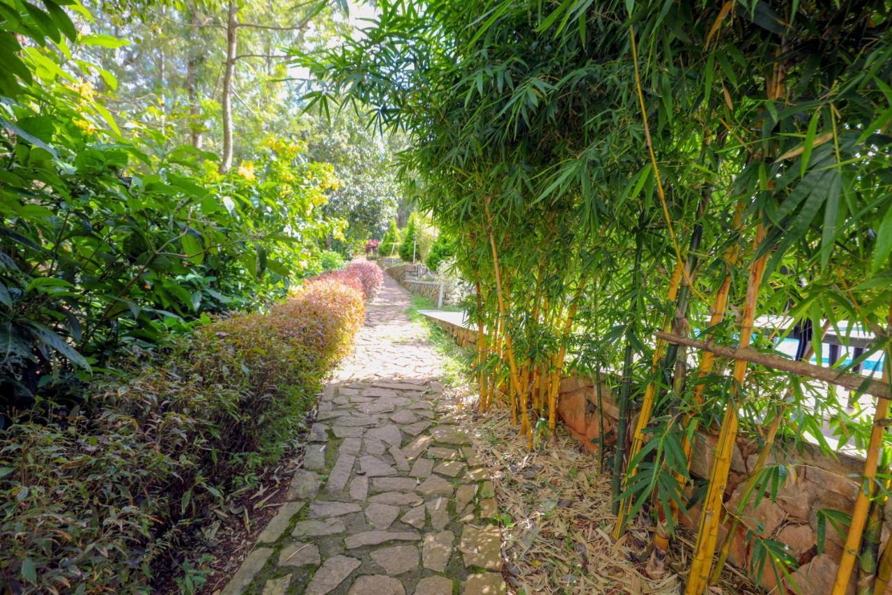 The Blossom Resort - Chikmagalūr المظهر الخارجي الصورة